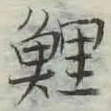 文字鯉