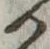 位置定マレル𛀚