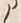 文字 ら
