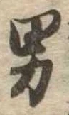 位置 確認된 男