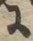 𛂌 위치 확인됨