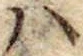 𛂞の位置