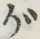 位置 確認된 が