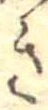 位置定マレル未定