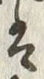 “は”字