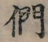 位置定マレル們