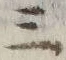 文字三