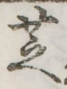 芝 위치 확인됨