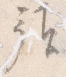 位置 確認된 預