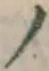 字ノ