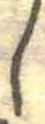 𛁅 위치 확인됨