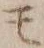 字モ