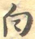 白 위치 확인됨