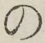字の