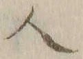 字人