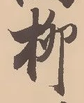 㐌定位柳