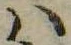 Đã định vị 𛂞