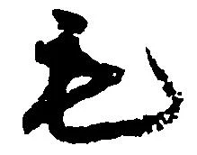 毛 위치 확인됨