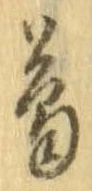 位置定マレル葛
