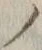 字ノ