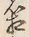 Chữ 箱