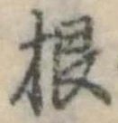 根 위치 확인됨