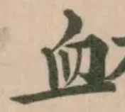 衃の位置