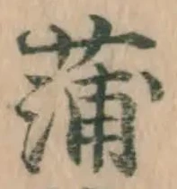 文字蒲