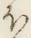 已定位𛃀