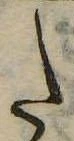 𛁠 위치 확인됨