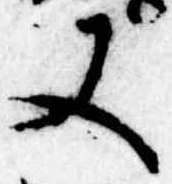 又 위치 확인됨