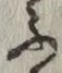 글자 ふ