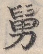 Đã định vị 舅