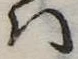 Đã định vị 𛂞