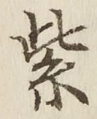 字紫