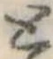 位置定マレルと