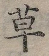 草 위치 확인됨
