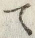 글자 て