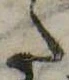 𛁠 위치 확인됨