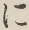 글자 に