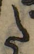𛁠の位置