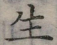 生 위치 확인됨