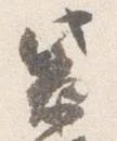 㐌定位紫