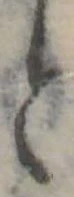 位置 確認된 と