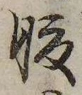 腹 위치 확인됨