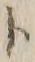 字ト