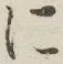 글자 に