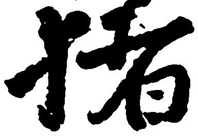 已定位猪