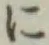 字に