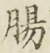文字腸